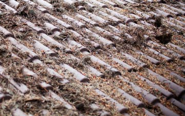 North Elmham roof cleaning companies